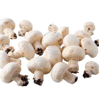 Шампиньоны свежие 500 г - купить в Важском